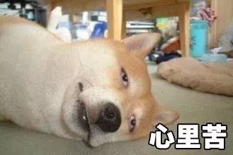 洗衣房人的心酸,洗衣店值得做吗