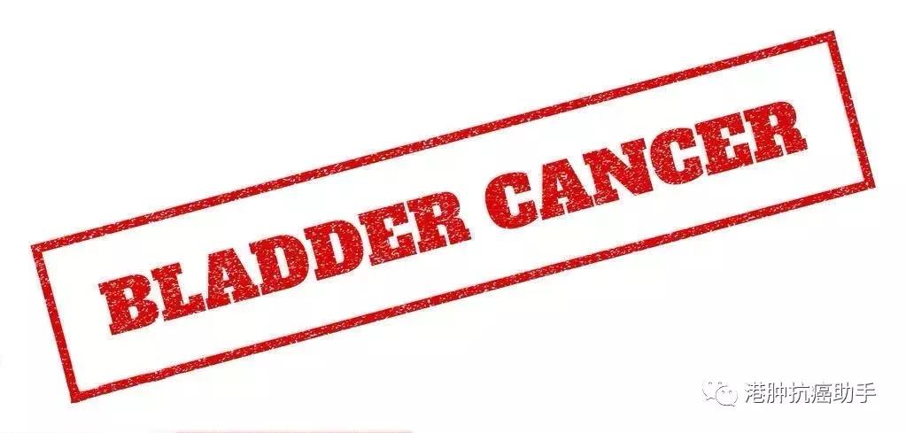 膀胱癌治疗多年首次突破，新药Vicinium获得FDA快速通道资格