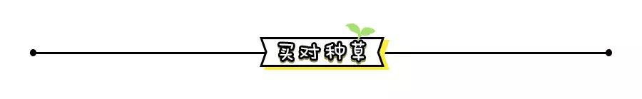 斩男妆到底是什么妆容,日系斩男妆图解