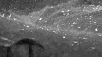 下雨天的七夕,约会真的要泡汤了么?来看看这两款神器!