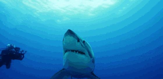 如果没有这部9.6，血腥猎奇的电影还要骗我们多久？