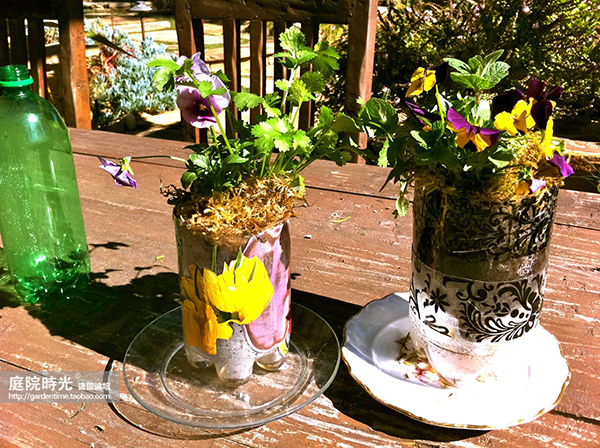 变废为宝自制栽培绿植器皿,塑料瓶创意绿植盆栽旧物利用