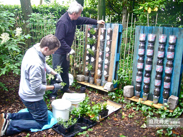 变废为宝自制栽培绿植器皿,塑料瓶创意绿植盆栽旧物利用