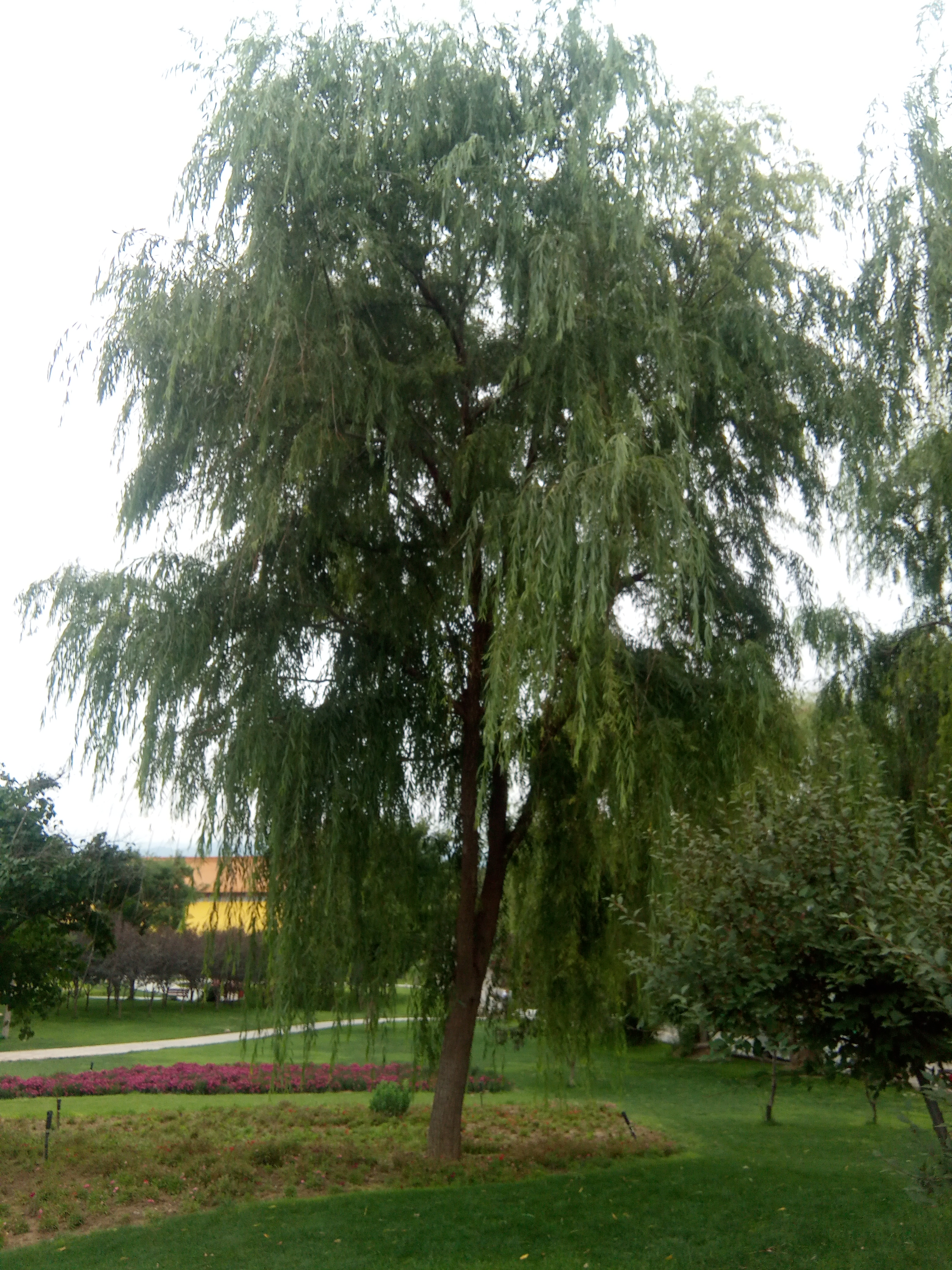 兰州兰山公园夜景,兰州兰山公园