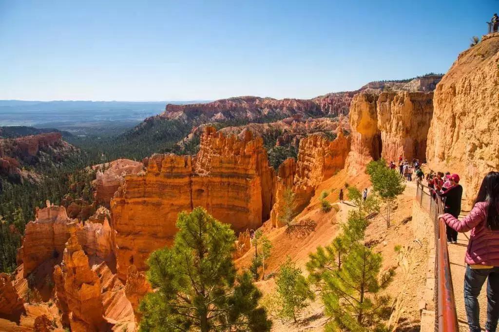 鐧惧彉缇庡啗,鐧惧彉缇庡浗