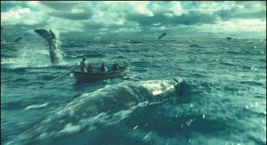 海底潜水旅行注意什么,海底潜水旅行注意事项