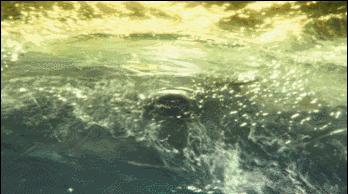 海底潜水旅行注意什么,海底潜水旅行注意事项