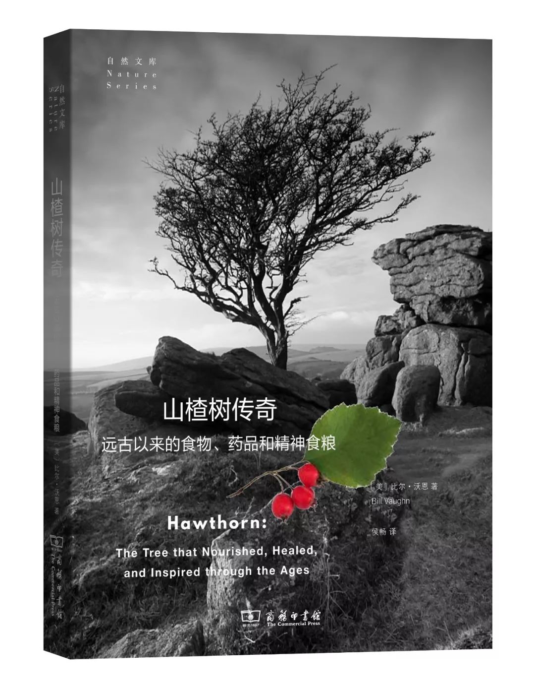 分享吃山楂治疗心脏病,山楂有治疗心脏病的功效吗