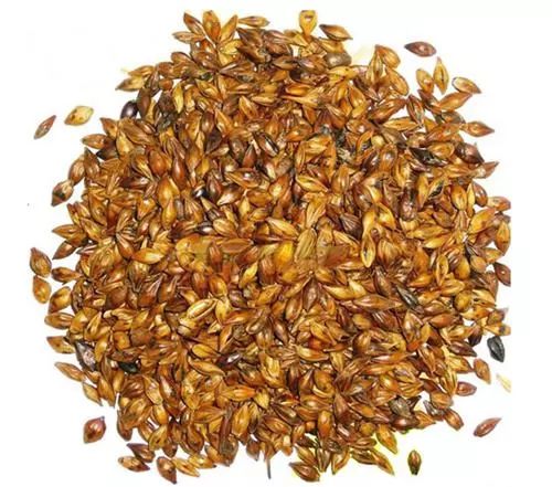 养胃养脾的健康小知识,健脾胃和调理脾胃的区别