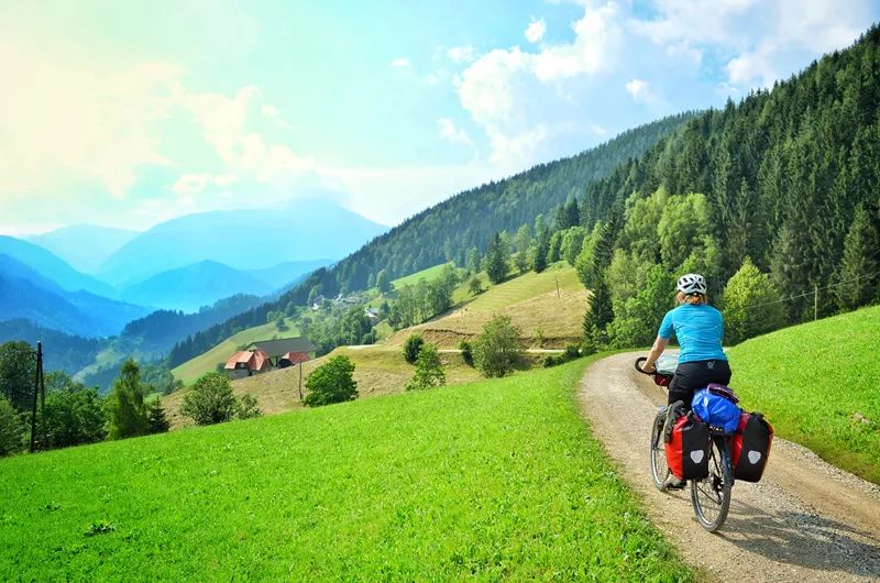 老鸟入门教程视频,分享新手选车攻略