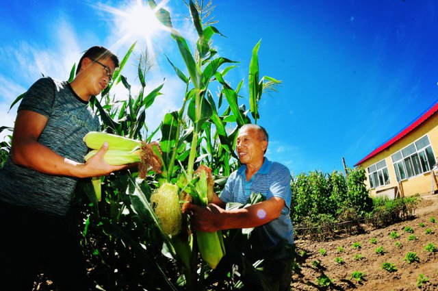 最热时节，他们在为困难群众忙些啥