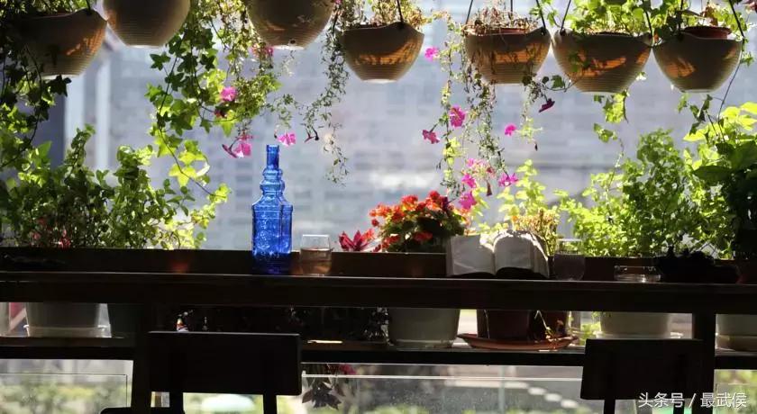 成都市区民宿推荐排名前十名,成都市区民宿推荐网红