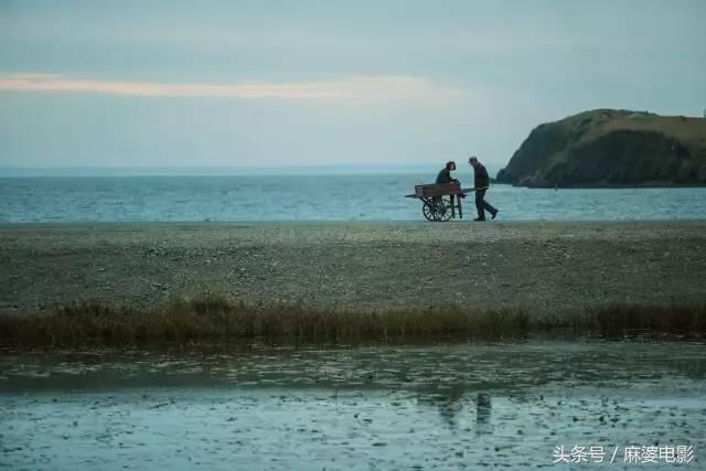 历年七夕爱情电影推荐,今年七夕上映的爱情电影