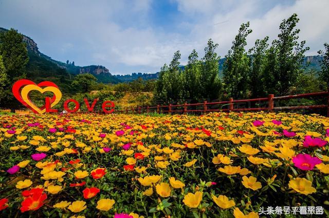 平邑情人节游玩,平邑七夕怎么过