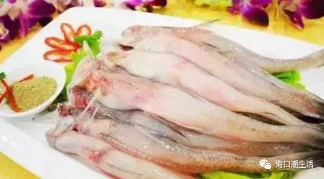 海南的鱼类大全,海南鱼类大全图片