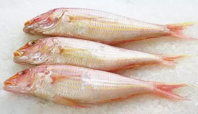 海南的鱼类大全,海南鱼类大全图片