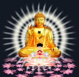 如何知道自己本命佛,如何知道自己的本命佛