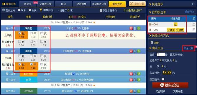 正确投注姿势视频讲解,投注方法图解大全