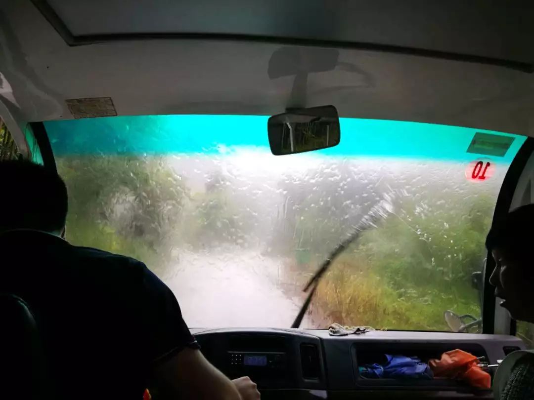 柚子说：松鼠我都没看见，熊猫也没有看见