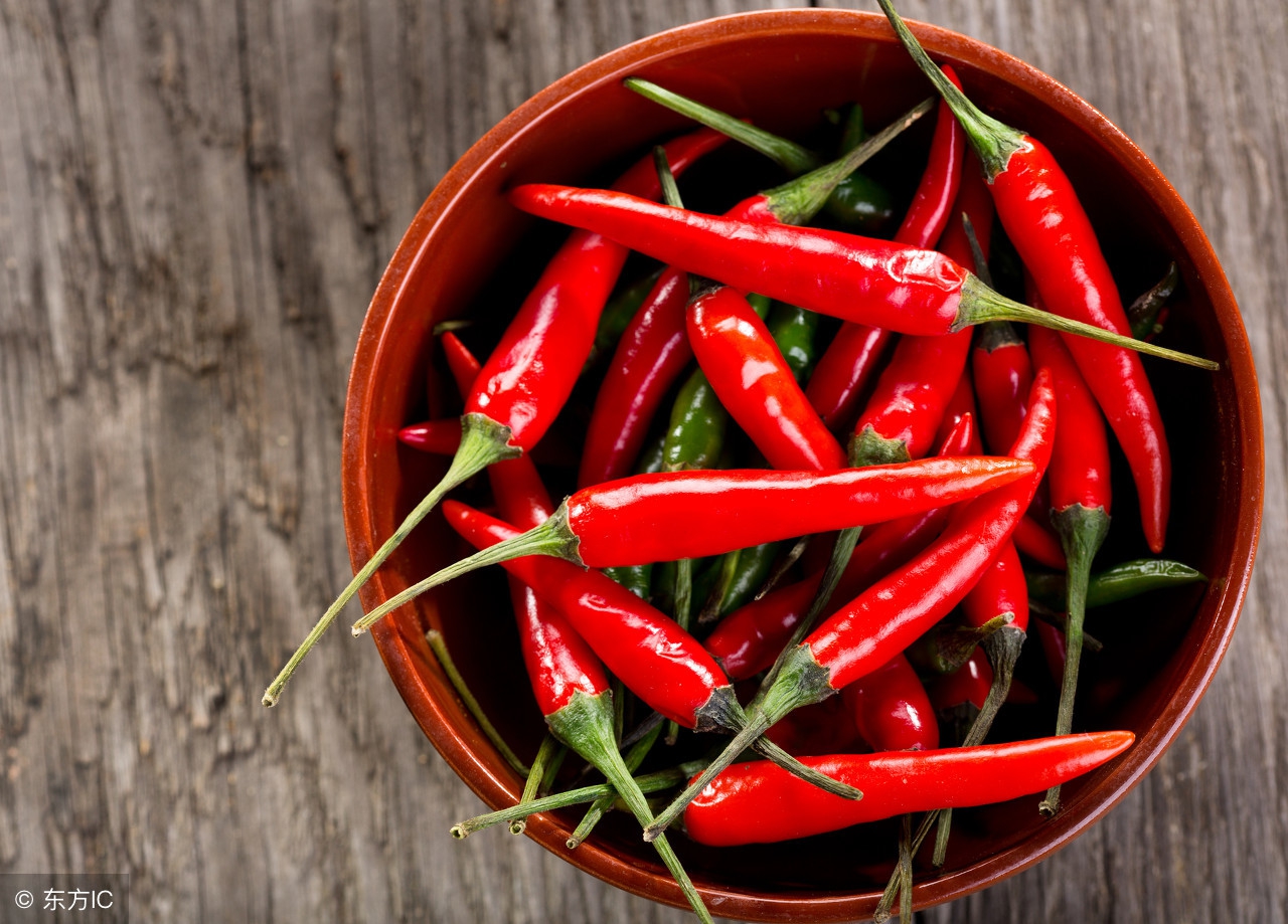 辣椒有啥魔力为啥越吃越上瘾,辣椒为什么越吃越上瘾呢