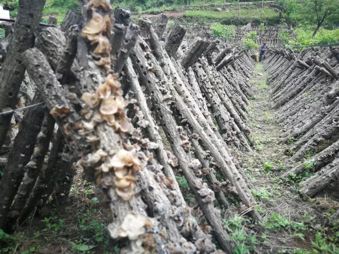 广元旺苍这家超市建成啦，以“德”换物不要钱！