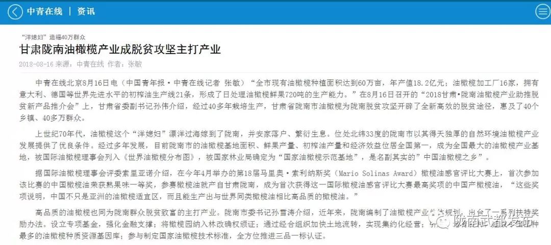 陇南武都橄榄产业发展,陇南油橄榄产业