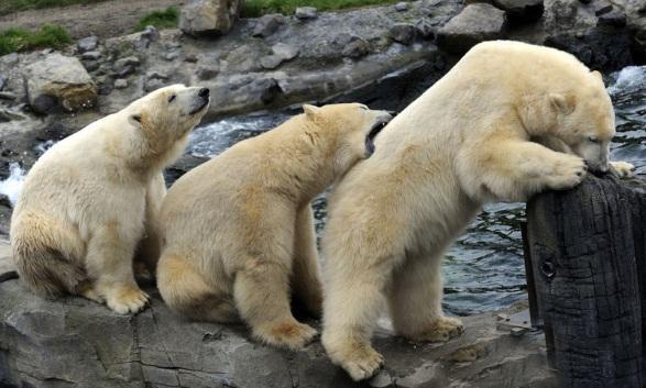 你今天笑了吗笑脸图片,你今天笑了没图片