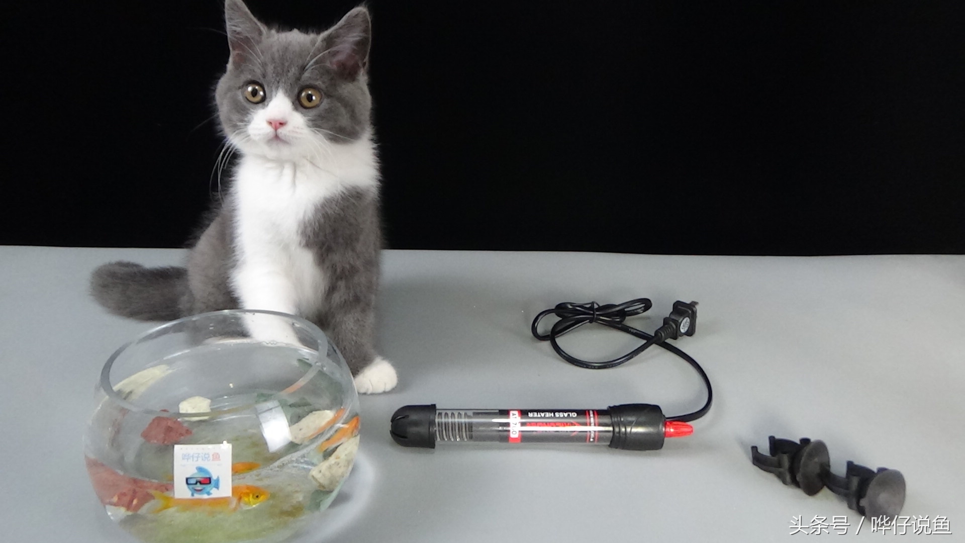 热带鱼鱼缸加热棒怎么选择,鱼缸加热棒常识