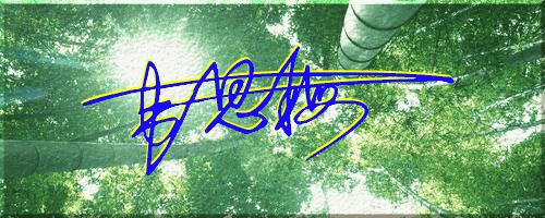 051期：目前已经制作了一千三百多个姓名大家找一下