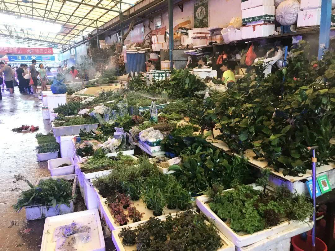 广州便宜又好看的批发市场,广州年前批发市场买衣服地方推荐