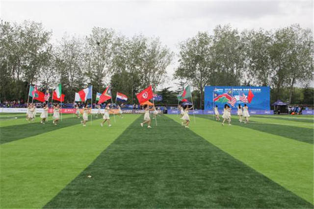 2018哥德杯青少年足球赛分组,哥德杯世界青少年足球赛