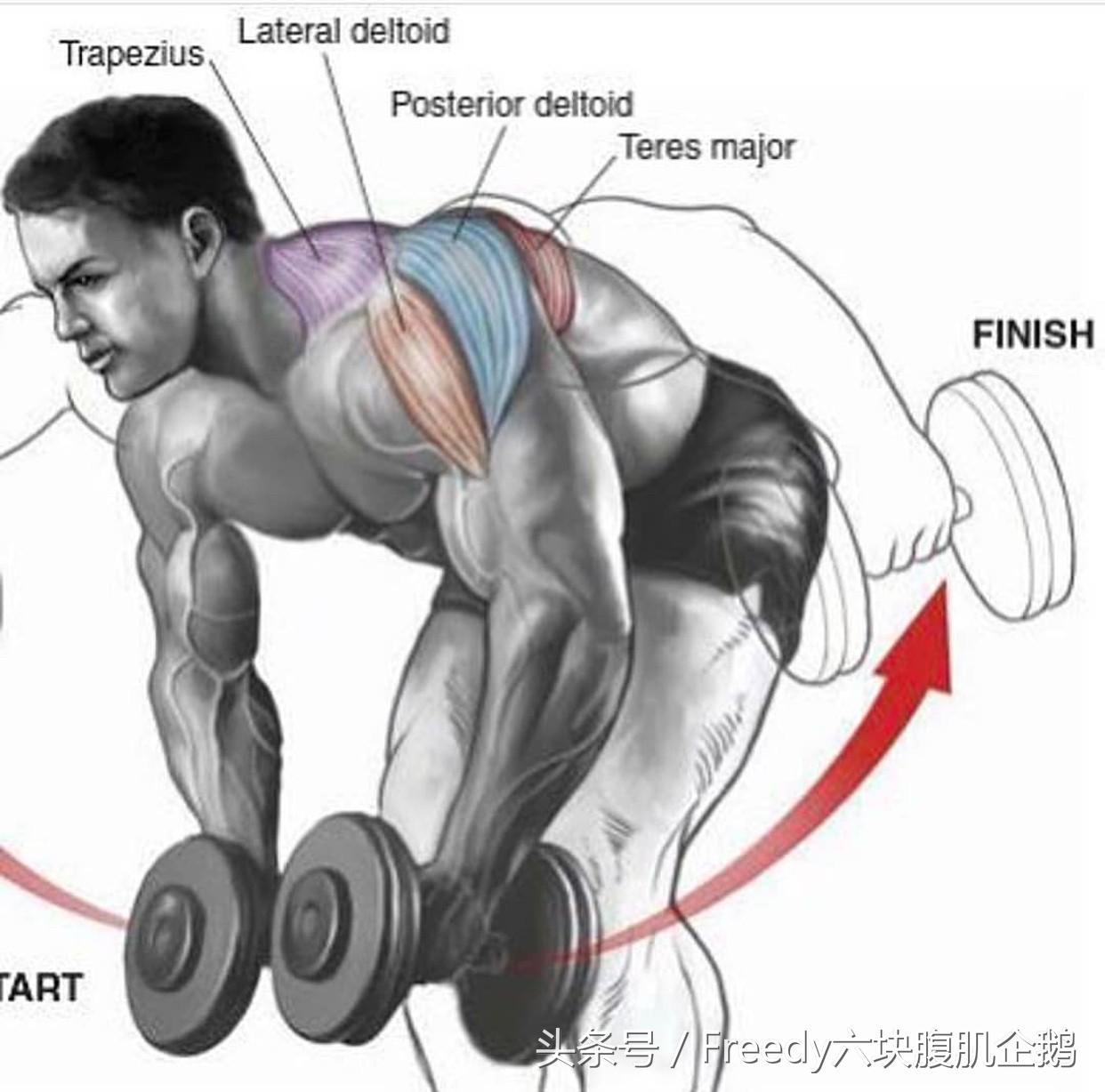 三角肌前束怎么练都练不出饱满,三角肌后束怎么练呢