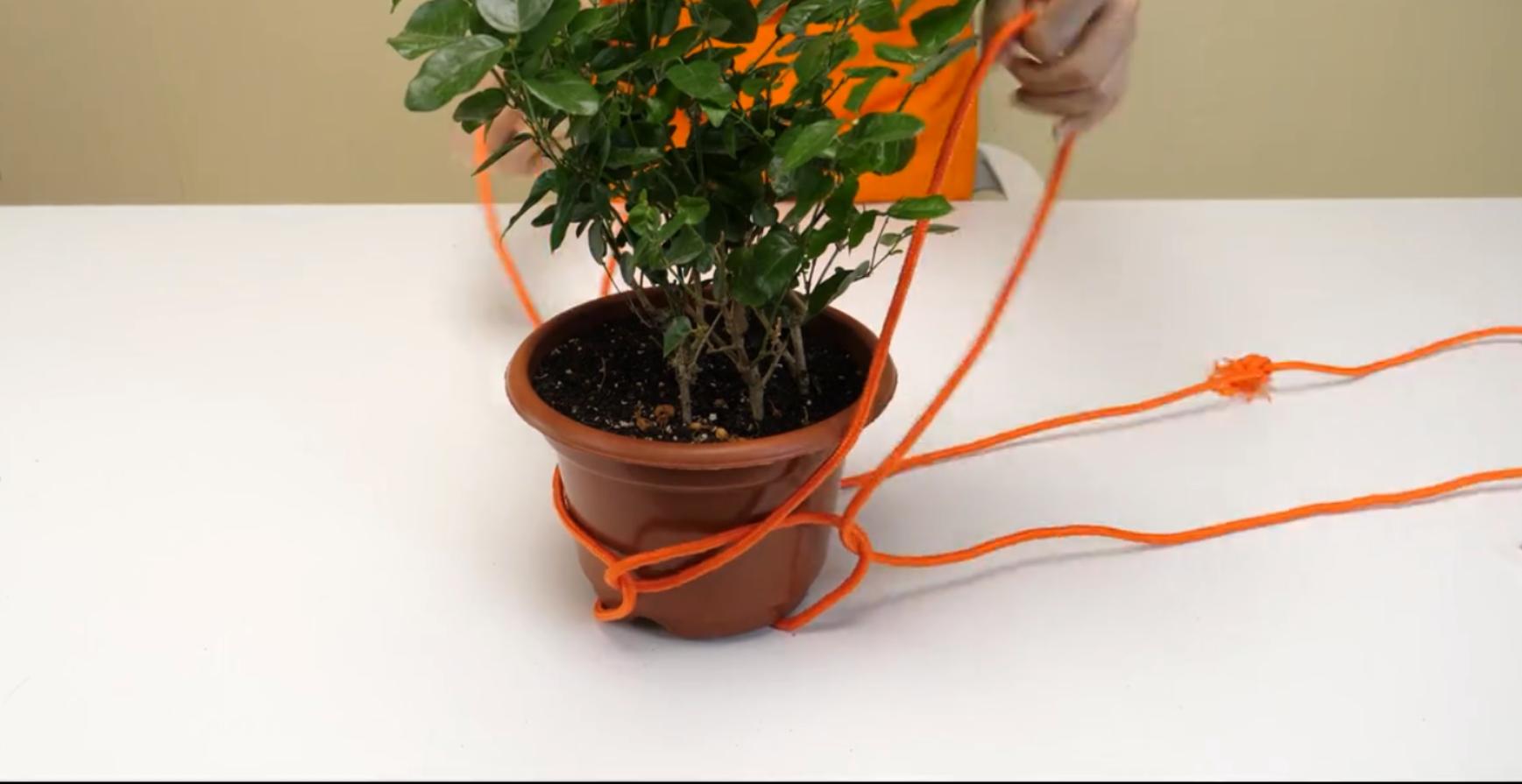 教你10种实用的绳子打结方法,用6根短绳打结成一根长绳需要30秒