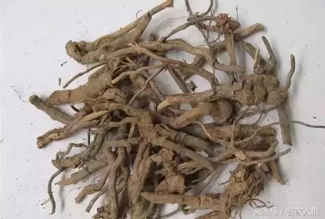 客家人煮汤有哪些草药,梅州客家煲汤药材根