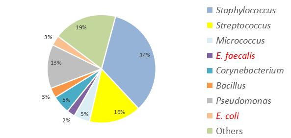 与时间赛跑急救医生,与时间赛跑同病魔较量演讲