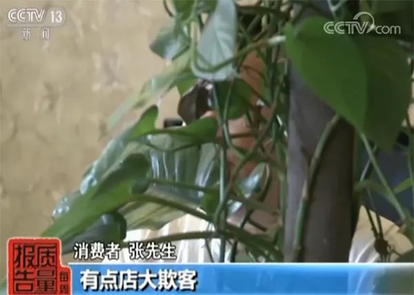 别人用自己的手机号去哪儿网订票,为什么去哪儿网频繁发订房信息