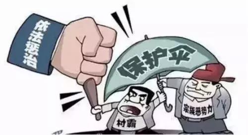 「扫黑除恶」坐牢回来“当选”村主任，扬言山、地、石头都是他的！结果……