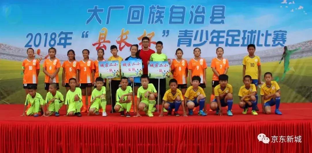 县长杯比赛,大厂县第五届县长杯足球比赛