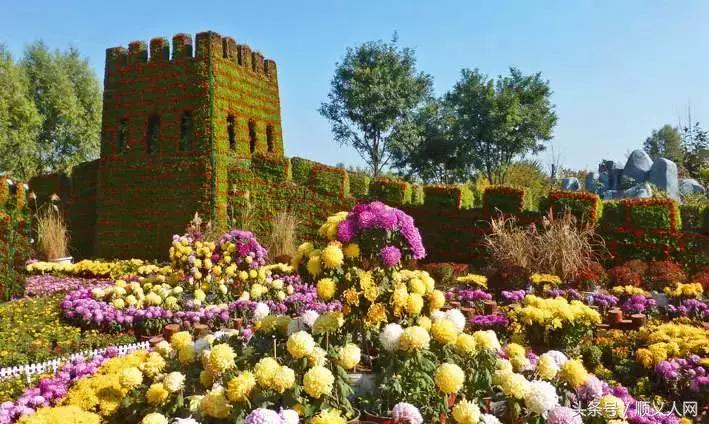 撤县级市变区的变化是什么,顺义县从哪年改成顺义区了