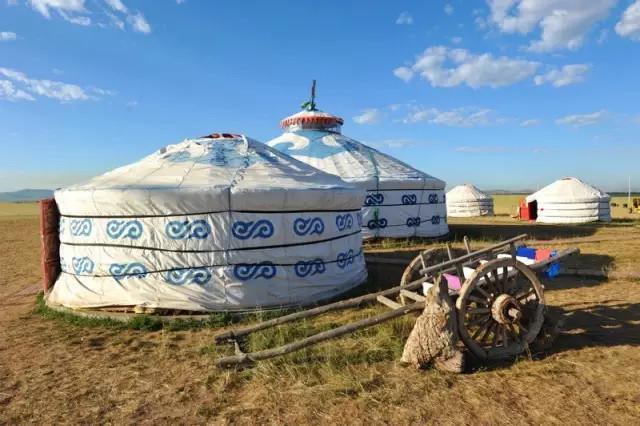 全国各地特产大全视频,长白山特产林下灵芝片东北特产50g