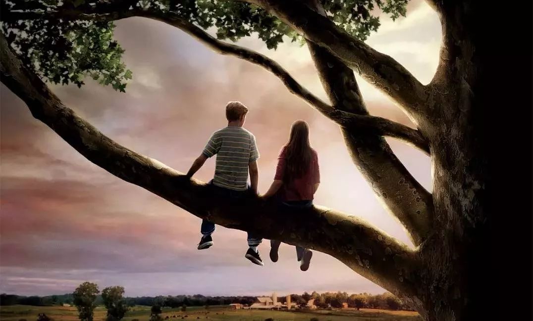 七夕总结：2018新型婚恋交友App激增！18禁，年轻人有点敢玩