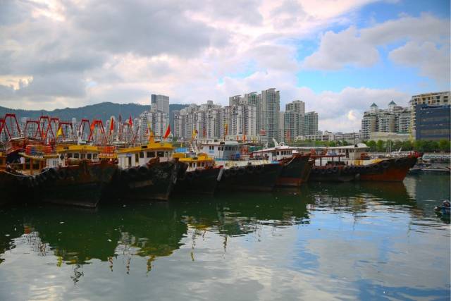 深圳失去双臂,深圳现状是什么