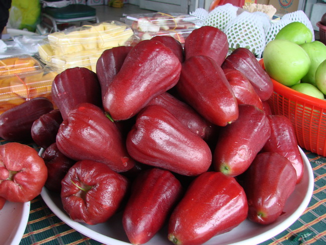 去厦门玩可以带什么美食回来,去厦门玩适合带走的伴手礼