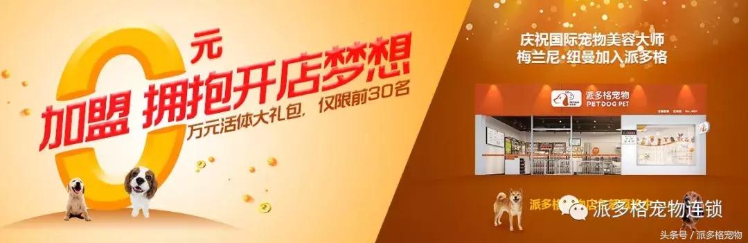 行业小白怎么培训,行业小白应该了解的问题