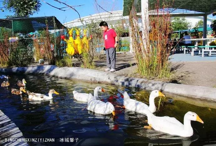 哈尔滨极地公园极地馆时间,哈尔滨极地公园和极地馆区别