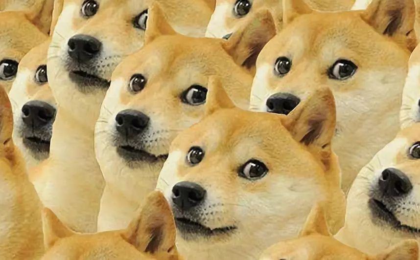 贴膜必备基础膜选择的秘诀解析,贴膜一定要选对膜