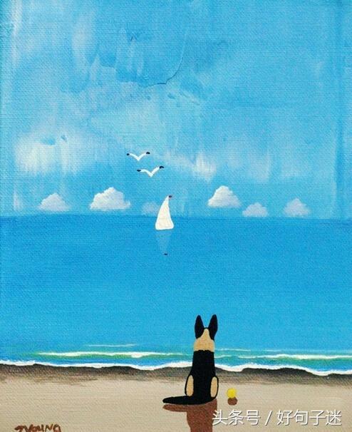 qq空间精辟搞笑说说,qq空间说说搞笑配图加句子