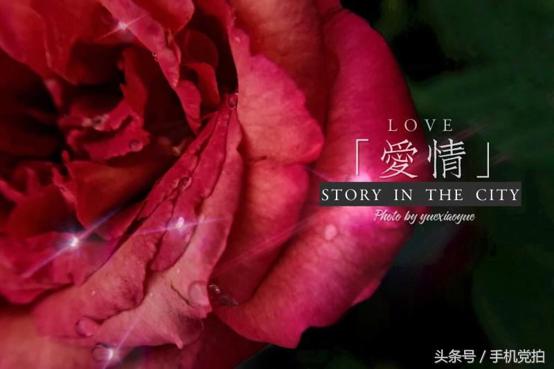 给图片上加印章,给图片加个好看文字