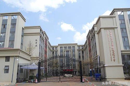 盘龙区私立学校有哪些,盘龙区私立小学排名前十名