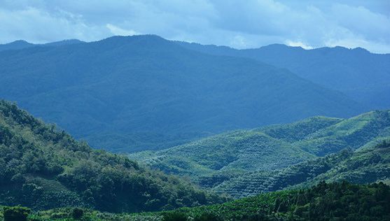爱的味道，是来自墨尔本的咖啡味道｜凡仕